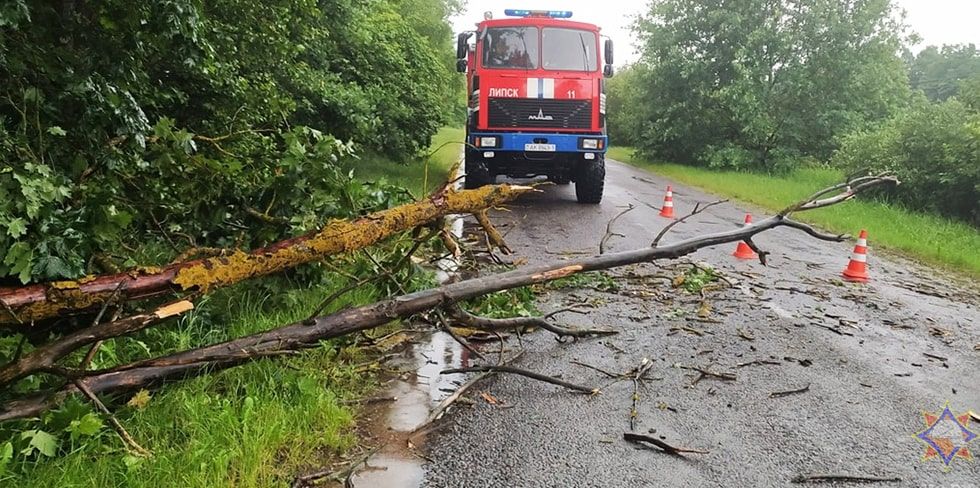 В Гродненской области из-за гроз без света оставалось 33 деревни