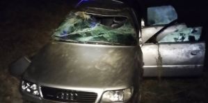 Водитель уезжал от лидских пограничников и попал в аварию. Ему было что скрывать