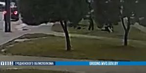В Гродно подростки избили взрослого за то, что тот отказался купить им алкоголь. Подробности