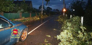 На водохранилище в Зельве отдыхала семья. Поднялся ветер, деревья начали падать – одно из них придавило женщину. Что еще натворила непогода?