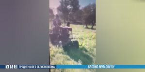 Соседские разборки под Берестовицей: у одного – перелом, у второго – уголовное дело