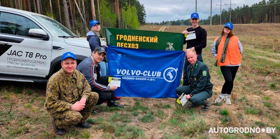 АвтоГродно и "Гродноавтосервис" высадили деревья в лесу под городом. Как сделать то же самое?