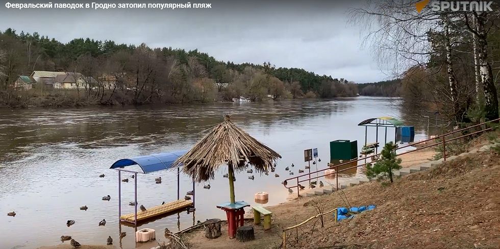 Паводок в Гродно затопил популярный пляж у Тропы здоровья. Успейте сделать фото!