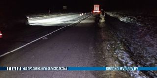 Фура сбила мужчину на трассе в Вороновском районе. Он погиб на месте