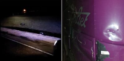 Вынесен приговор водителю фуры, который насмерть сбил велосипедиста и оставил его в поле