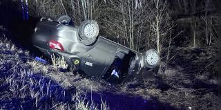 ГАИ предупреждает: животные стали чаще выходить из леса на дорогу. Как избежать трагедии? 5 правил