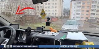 В Гродно мужчина повредил дверь, ударил женщину, разбил стекло скорой помощи. Дебошира задержали