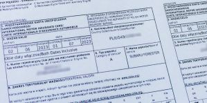 В каких пунктах пропуска можно купить "Зеленую карту"? Сколько стоит? Водитель рассказал, что делать