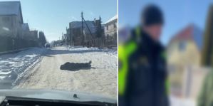 Инспекторы ГАИ заметили на дороге мужчину в -25°. "Я просто так лежал?" – спрашивал он потом