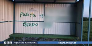 Под Гродно неизвестный разрисовывал остановки. Милиция разобралась кто это
