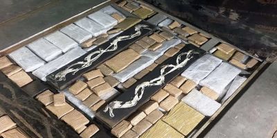 Найти 154 кг гашиша гродненским таможенникам помогла собака. Россиянину грозит 10 лет