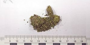 В "Каменном Логе" белорус пытался проглотить сверток с марихуаной. Сейчас мужчина под стражей