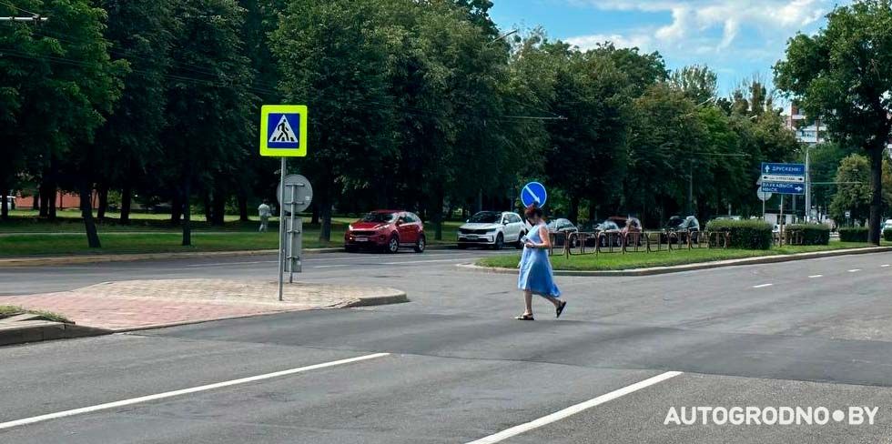 В Гродно на шестиполосной улице установили лежачие полицейские