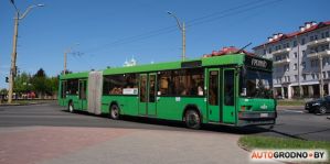 Автобусы на "Южный " не пойдут, потому что выходной. А завтра "Автобусный парк" откроет дачный сезон