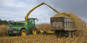 Можно ли в Беларуси использовать служебный транспорт в личных целях? Проверки прокуратуры Гродненщины