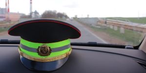 На прошлой неделе в Гродно сбили косулю. Может, кто-то видел? А знаете, сколько нарушителей ПДД остановила ГАИ за три дня?