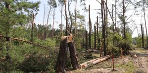 В Беларуси планируют оповещать об ураганных ветрах сиренами