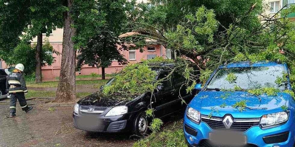 Утром на Ожешко дерево рухнуло на припаркованные автомобили